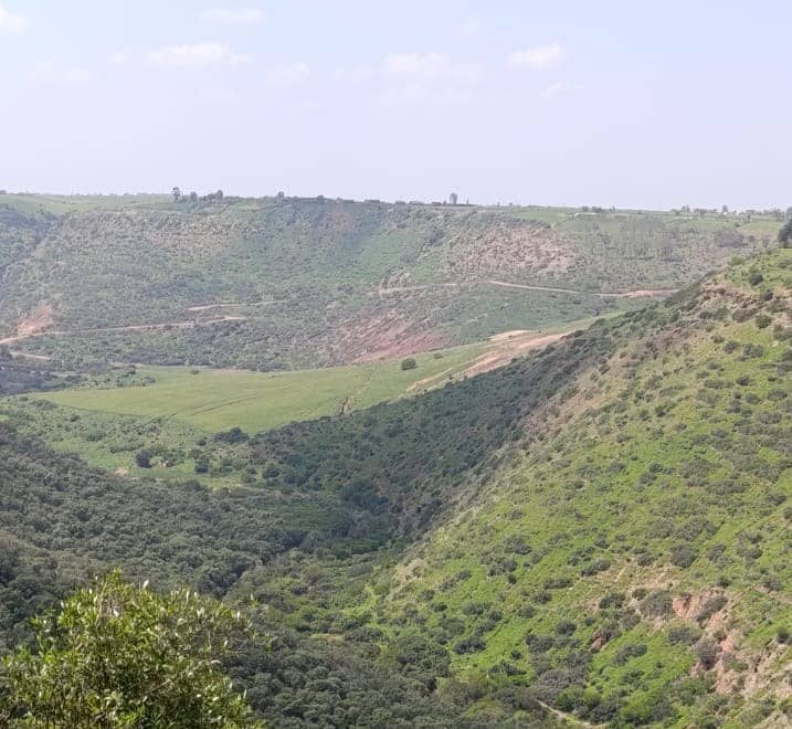 La forêt et la vallée qui bordent la ferme
